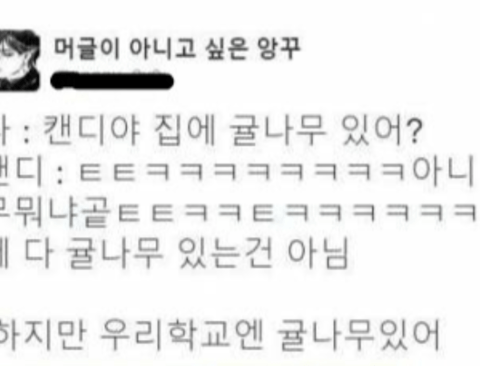제주도 사는 사람들이 자주 겪는 편견