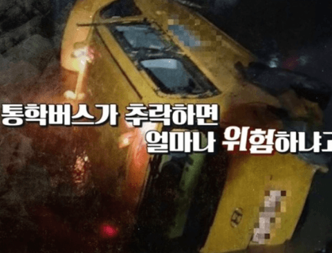 [스압] 추락한 통학버스에서 아이들 목숨 살린 안전띠의 기적