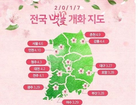 2017 전국 벚꽃축제,개화시기 총정리