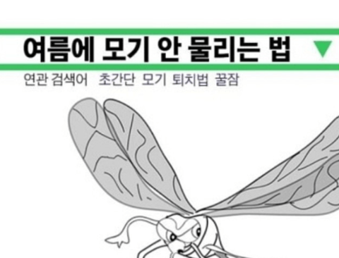 30년 모기 연구가가 알려주는 모기 안물리는법, 퇴치법.jpg