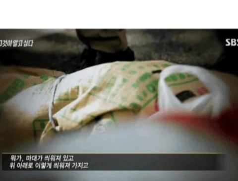 그알 레전드 엽기토끼 사건