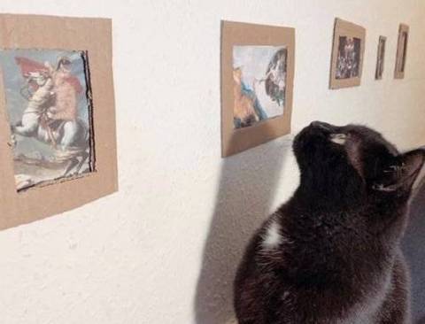 고양이를 위한 미술관.jpg