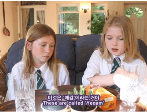 한국과자에 팩폭 날리는 영국소녀들