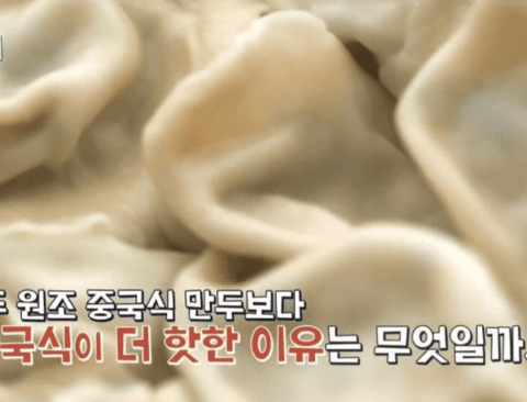 한국식 만두와 중국식 만두의 차이