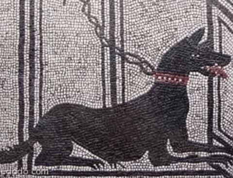 고대 로마인들이 죽은 개에게 남긴 글