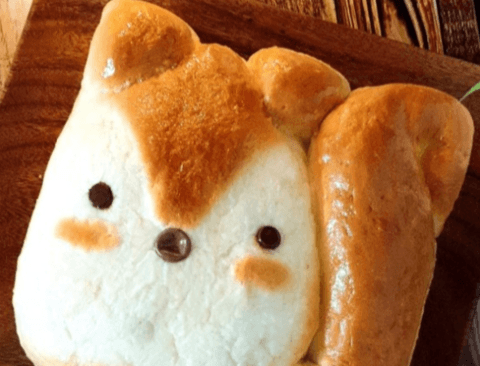 다람쥐빵 만드는 법.jpg